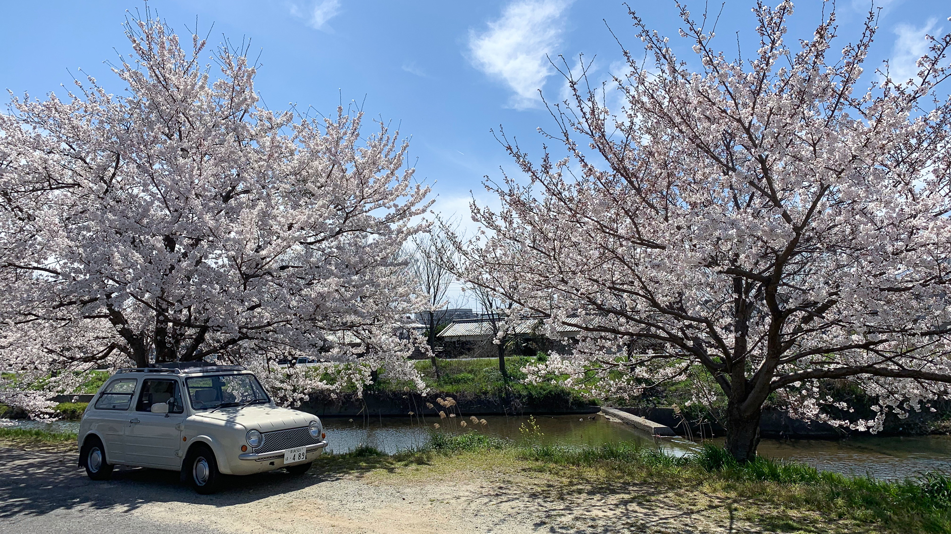 奈良に桜の季節がやってきた